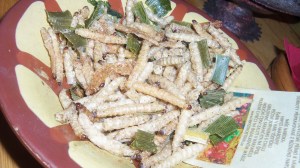 Fried grubs! Nate and Andy said they tasted like fried styrofoam!