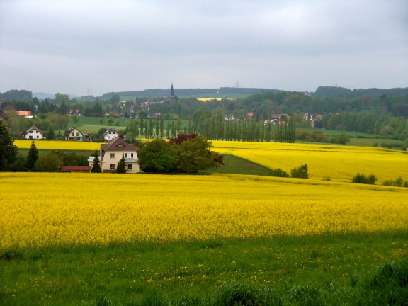 The view from the prayer tower.