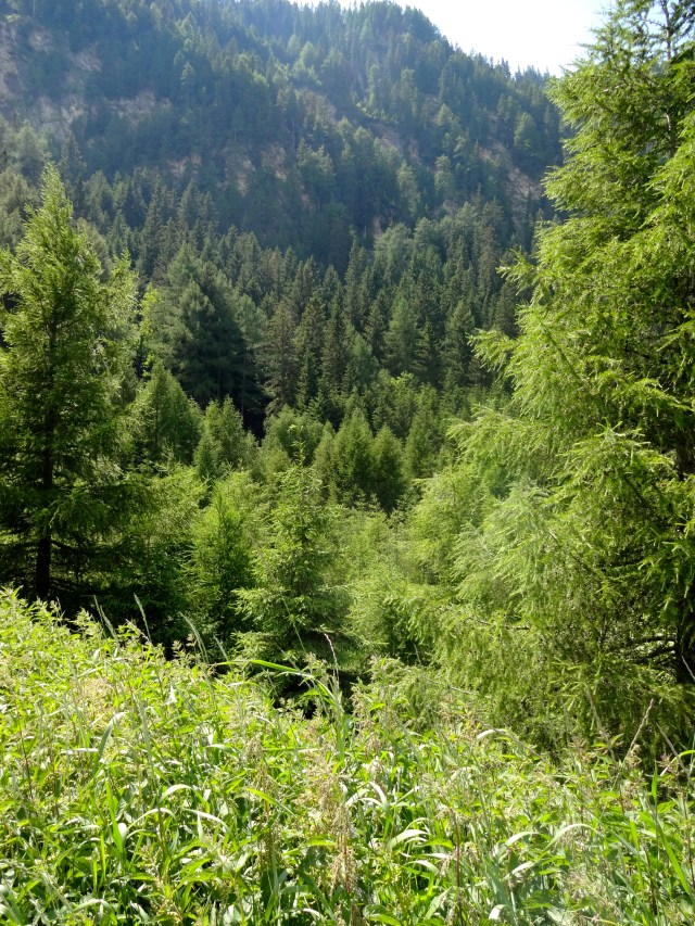 Photos couldn't capture the beauty of the Alps!