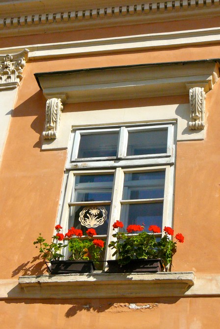 I have a weakness for taking photos of cute window boxes:)