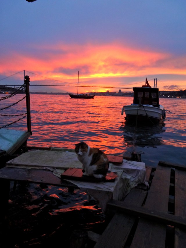 Istanbul, Turkey: February 2013