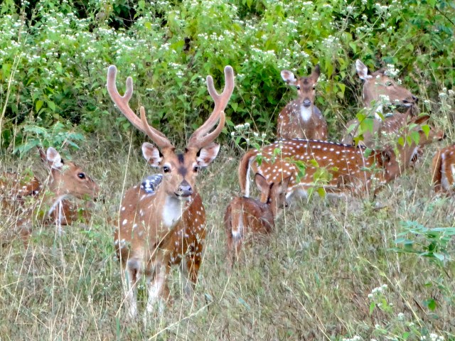So close! We had to be really quiet.