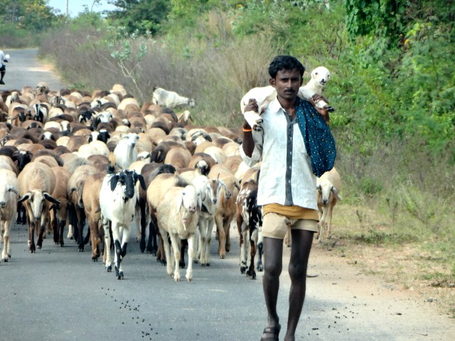 On the way to Susheel's other farm.