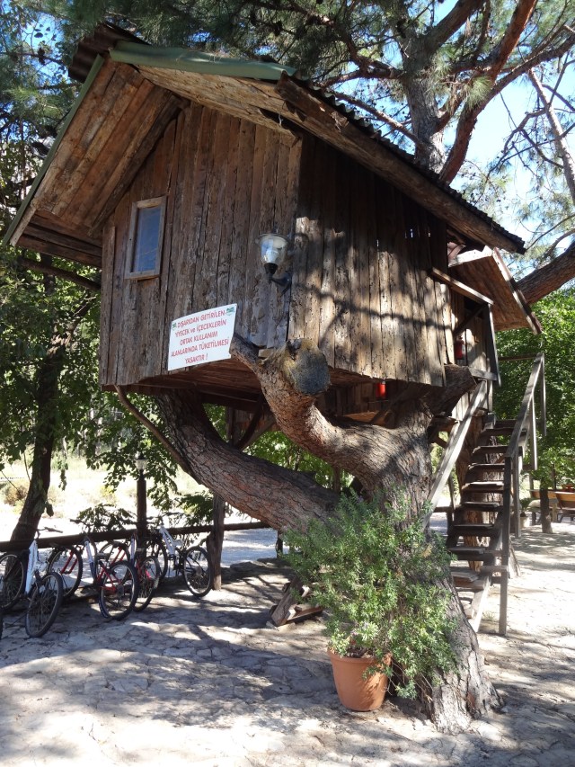Turkmen's Tree Houses